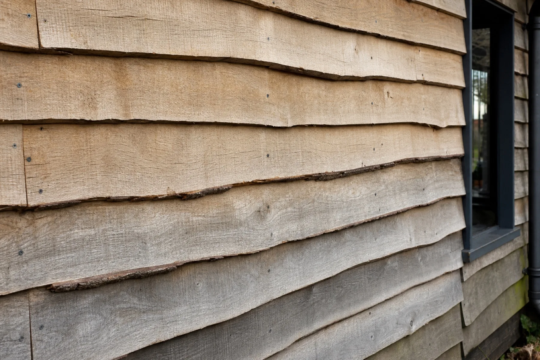 Waney edge oak cladding on a building elevation, live edges visible